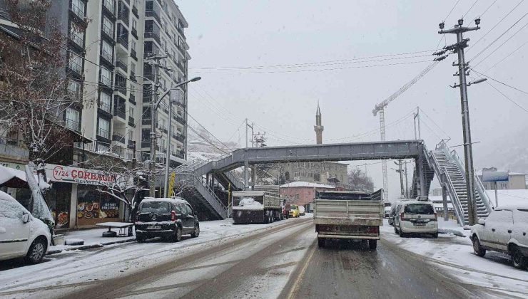 Gümüşhane’de kar yağışı etkili oluyor