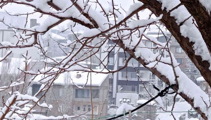 Hakkari’de 21 yerleşim yeri yolu ulaşıma kapandı