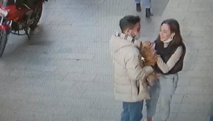 İstanbul’da ilginç köpek hırsızlığı kamerada: Sevgili çift “Badem’i” severek çaldı