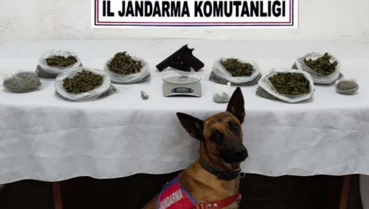 Jandarmadan iki noktada uyuşturucu operasyonu: 2 gözaltı