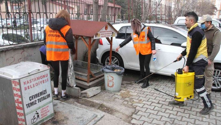 Kastamonu’da sokak hayvanları unutulmadı
