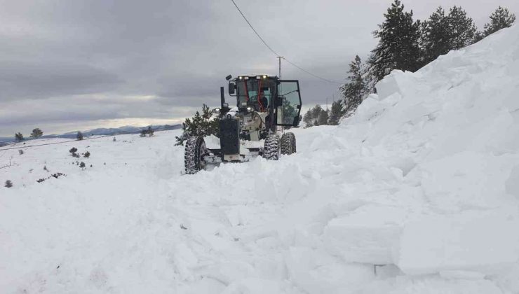 Kastamonu’da yolları açan iş makinesinin üzerine çığ düştü