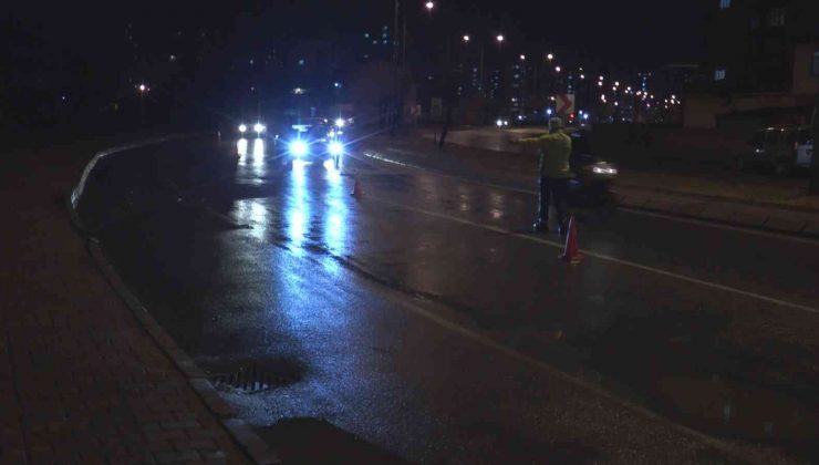 Kayseri’de 130 personelle yapılan uygulamada 286 araç ve 541 kişi sorgulandı