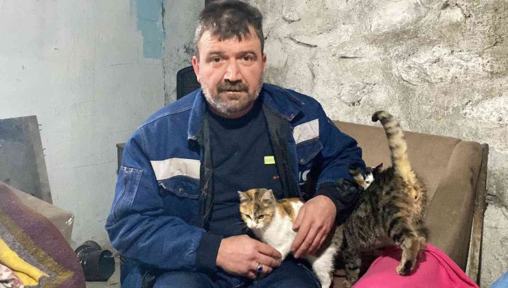 Kış ayında kapısını kedilere açtı