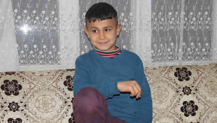 Köpeklerin korkusundan direğe çıkan çocuk: “Bana saldırırlar diye korktum”