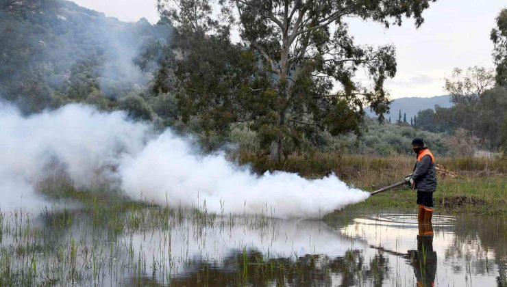 Kuşadası’nda 2021 yılında, 73 ton atık toplandı