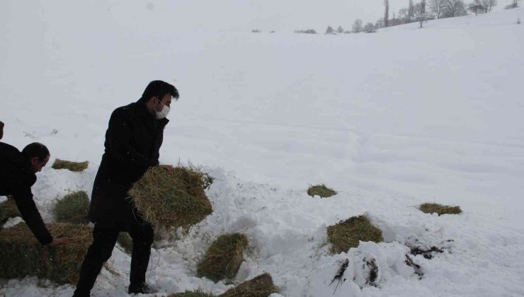 Mecitözü’nde yaban hayvanları için doğaya yem bırakıldı