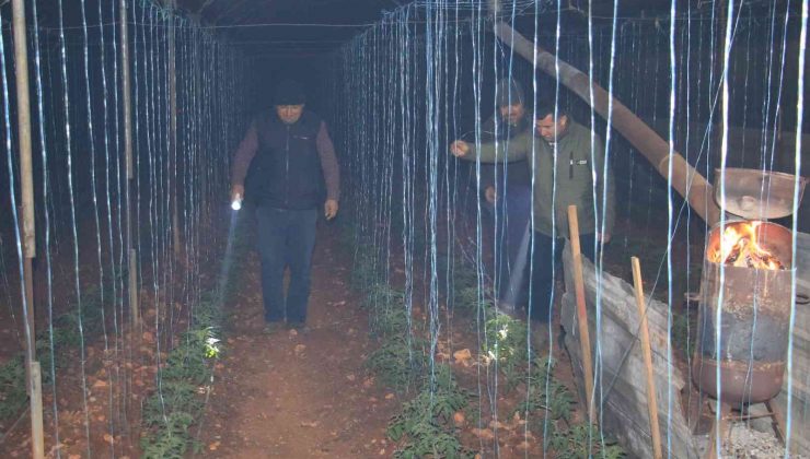 Mersin’de bahçelerde lastikler, seralarda sobalar yakıldı, zirai don nöbeti başladı