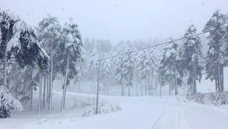 Meteoroloji sarı kodla uyardı, yoğun kar yağışı bekleniyor
