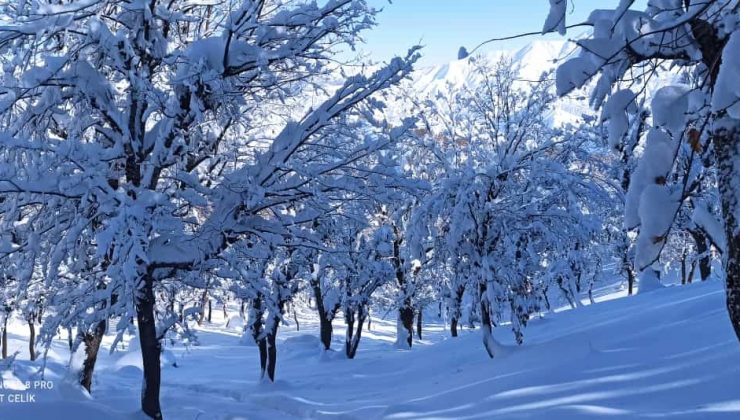 Meteorolojiden Batman ve çevre ileri için kar uyarısı geldi