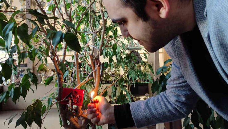 Orta okul öğrencileri orman yangınlarını bitirecek cihaz üretti
