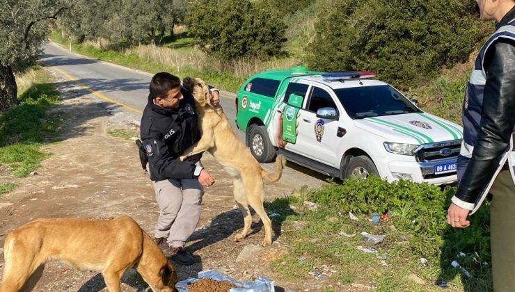 Polis ekiplerinden sokak hayvanlarına mama desteği