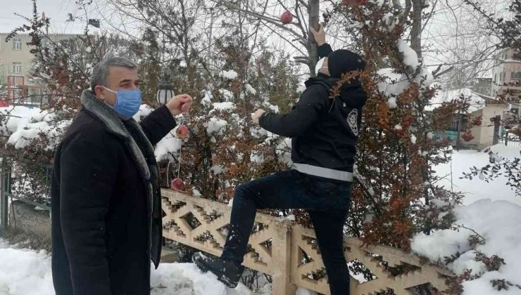 Polis yaban ve sokak hayvanları unutmadı