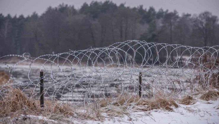 Polonya’nın Belarus sınırında 240’tan fazla göçmenin öldürüldüğü iddiası
