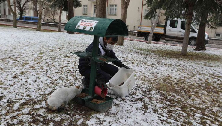 Talas’tan can dostlara şefkat eli
