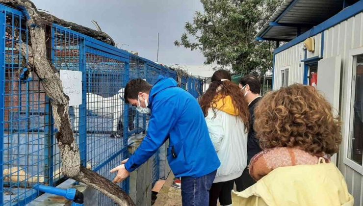 Tatlıtuğ çiftinden Bodrum’da anlamlı destek