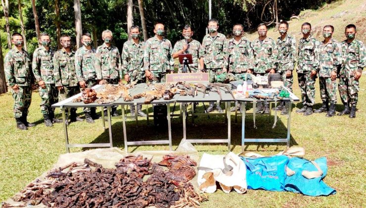 Tayland’da kaplan cinayeti