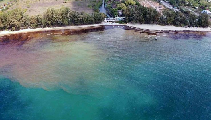 Tayland’da petrol sızıntısı nedeniyle bir plaj afet bölgesi ilan edildi