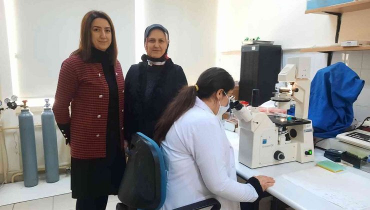 Tıp Fakültesi öğretim üyelerinden TÜBİTAK başarıları