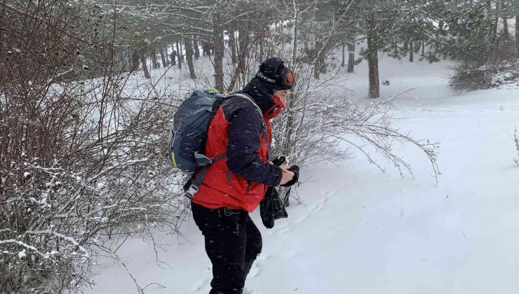 Tipiye aldırmadılar, yaban hayvanları için doğaya yem bıraktılar
