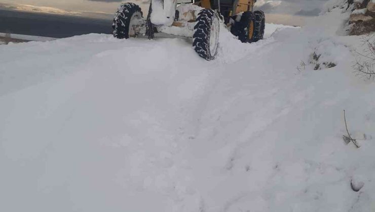 Tuşba’da karla mücadele çalışmaları aralıksız sürüyor