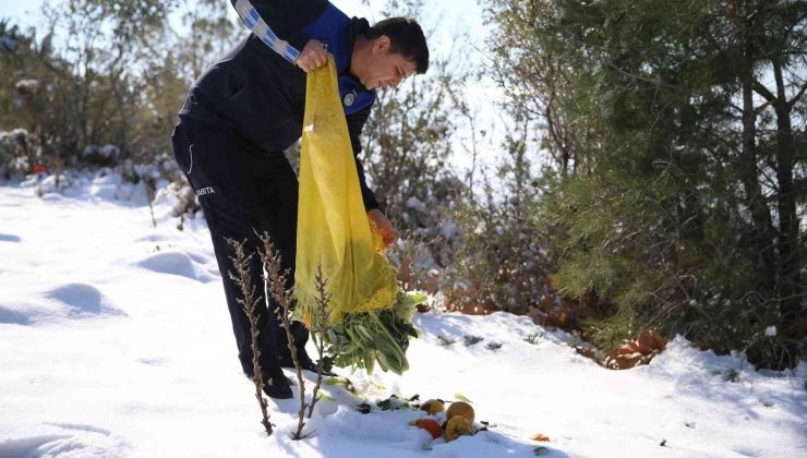Yaban hayvanları unutulmadı