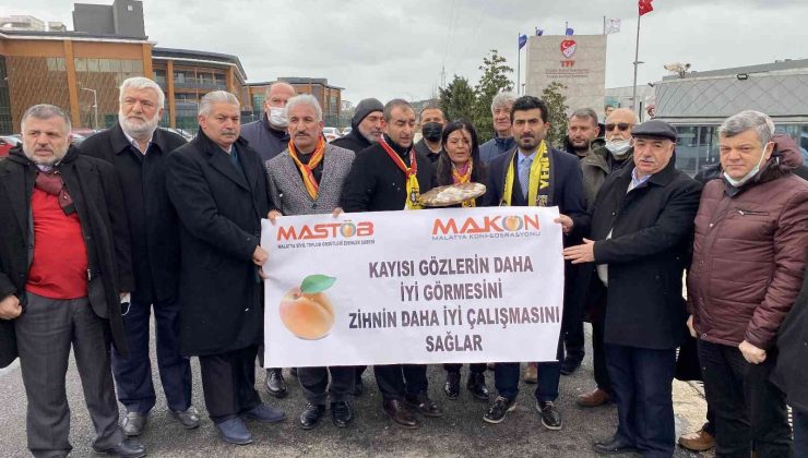 Yeni Malatyaspor’un avukatlarından TFF’ye kayısılı tepki