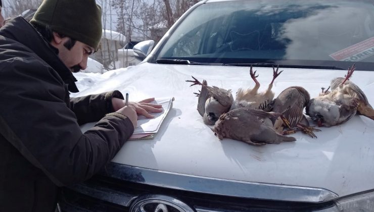 Kaçak keklik avcıları Van DKMP ekiplerine yakalandı