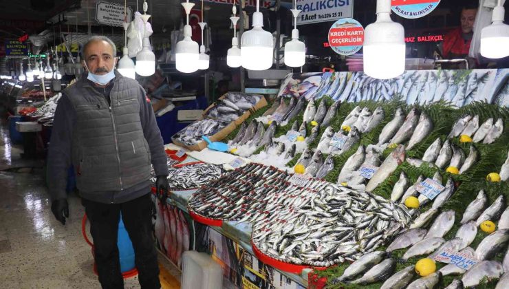 Malatya’da balık fiyatları esnaf ve müşteri memnun etti