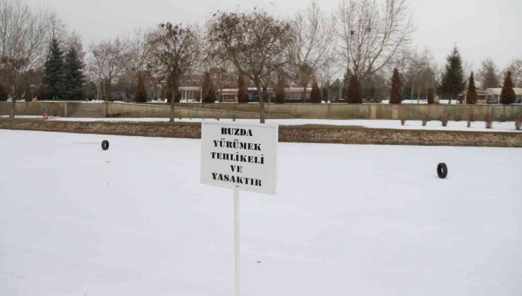 Porsuk’ta ilginç görüntü