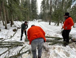 Yayla yollarına devrilen ağaçları kesip yolu açtılar